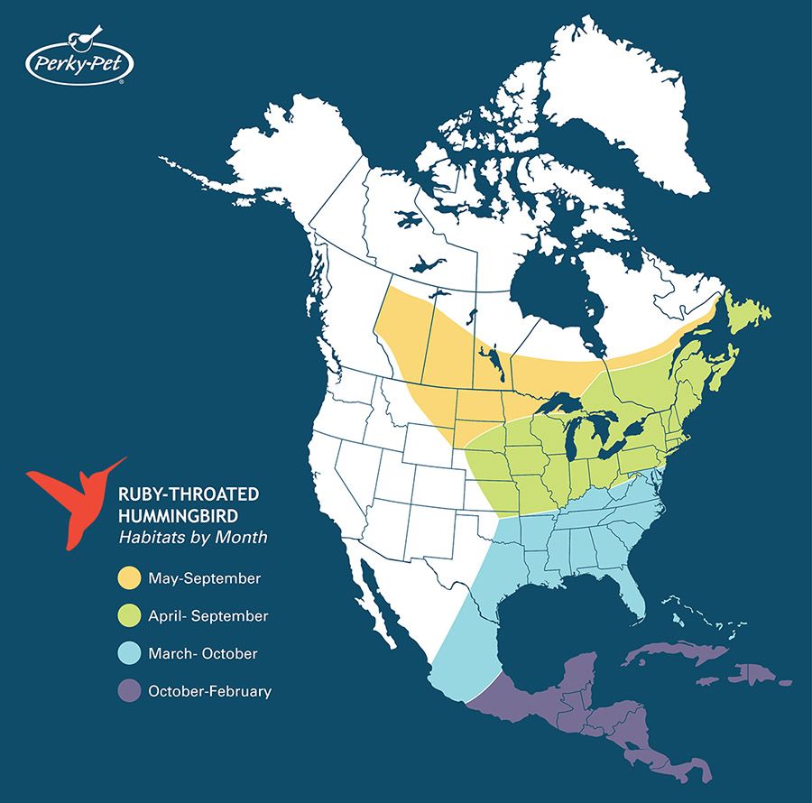 Hummingbird Fall Migration Map 2017 Maps For You
