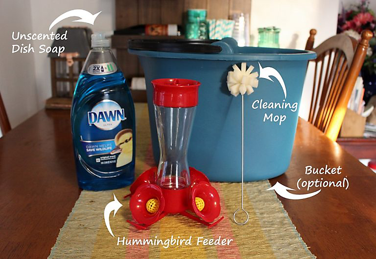 how to clean a hummingbird feeder warm water unscented soap cleaning mop bucket