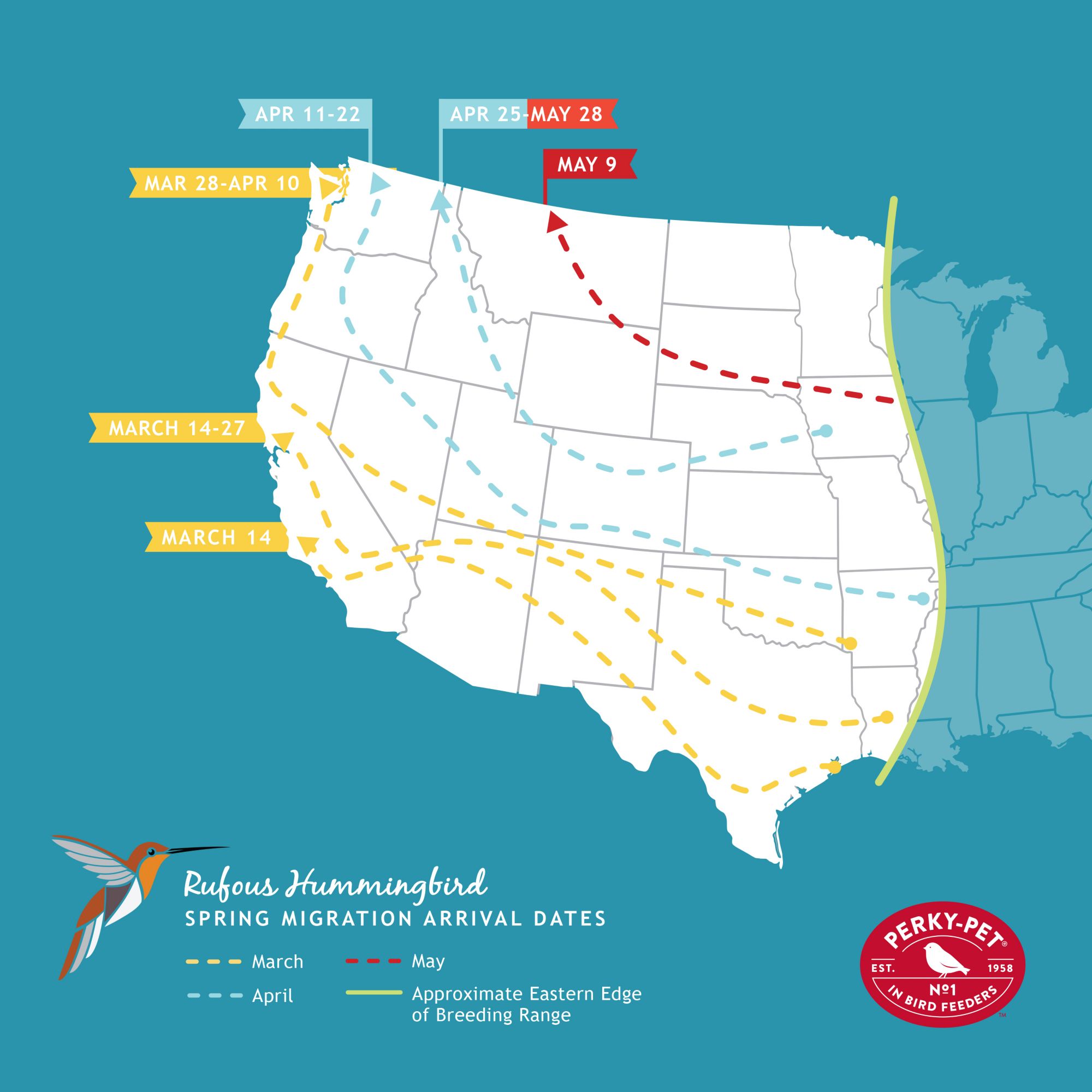 hummingbird migration map