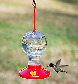 Perky-Pet® Clear Plastic Hummingbird Feeder