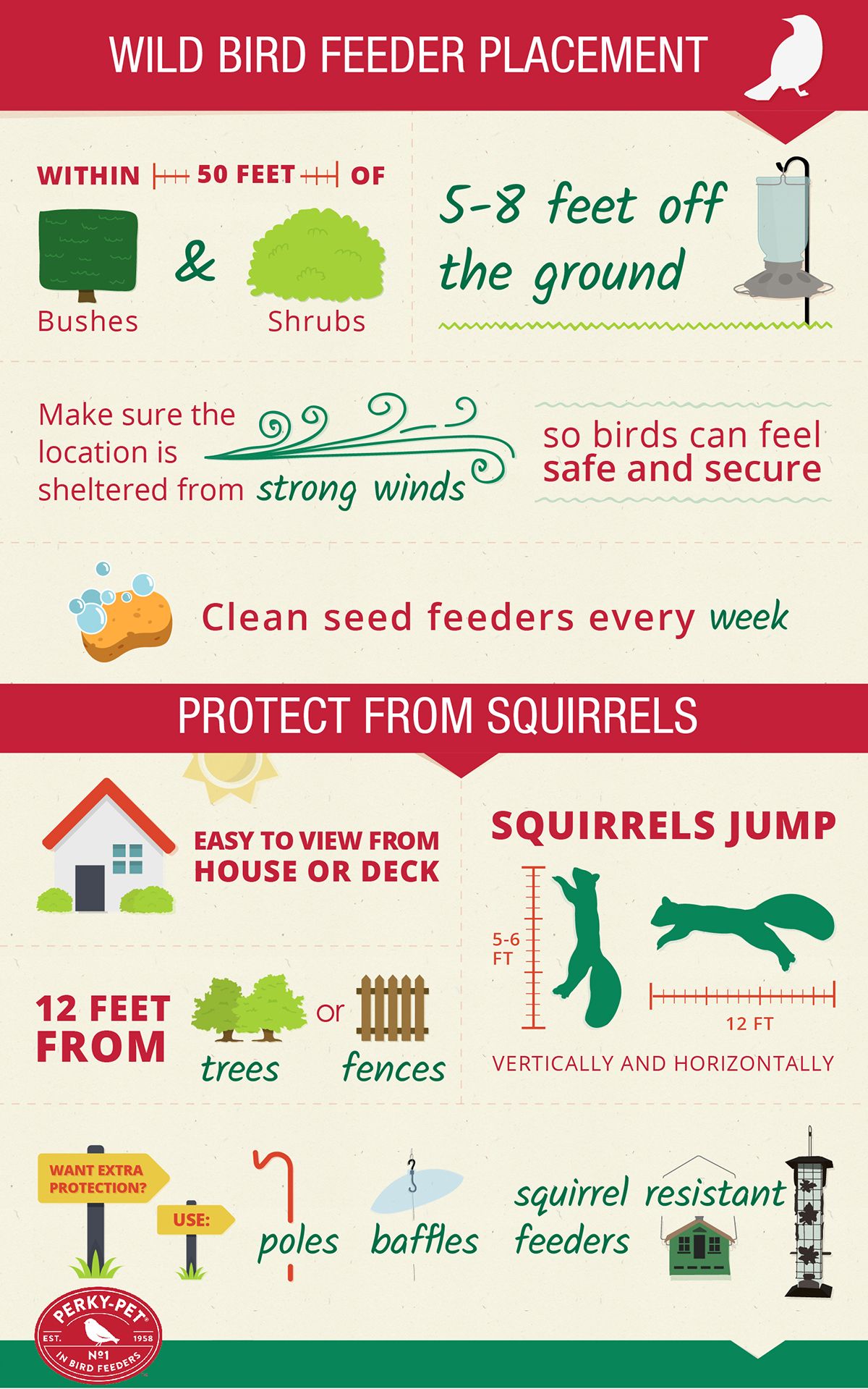Infographic On How To Attract Birds To Your Yard